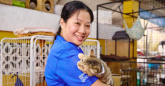 เอปสันชวนลดพลาสติก “วิถีไทยไร้พลาสติก”  ดูแลแมวจรกว่าร้อยชีวิต